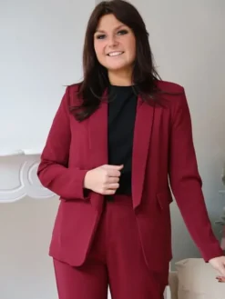 Cheap Blazer Ornella Bordeaux Vestes