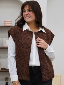 Sale Gilet Sixtine Marron Pulls Et Gilets