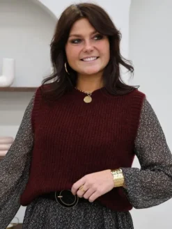 Store Pull Constance Bordeaux Pulls Et Gilets