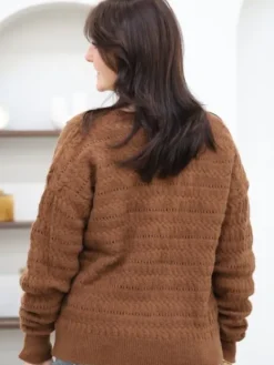 Shop Pull Lara Chocolat Pulls Et Gilets